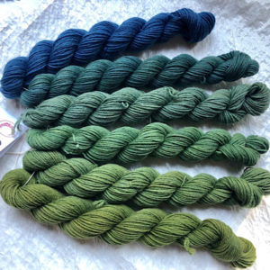 Sprout Sage Fingering Gradient Set